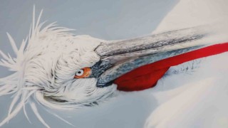 Malatyada ‘Kuşların Dünyası sergisi yoğun ilgi gördü