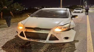 Malatyada otomobilin çarptığı domuz telef oldu