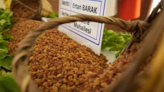 Manisanın 9 aylık tarım ihracatı 706,7 milyon dolara ulaştı