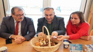 Mantarların gizemli dünyası anlatıldı