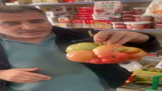 Mardinde 1 kilo 400 gramlık domates hayrete düşürdü