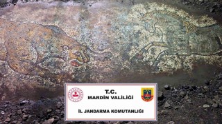 Mardinde Anadolu Mirası operasyonunda 1500 yıllık mozaik ele geçirildi