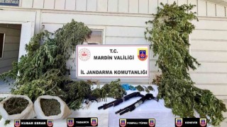 Mardinde uyuşturucu operasyonlarında 38 şüpheli yakalandı