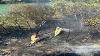 Mersinde bahçe yangını büyümeden söndürüldü