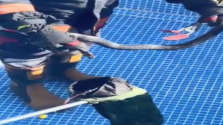 Mersinde havuza karayılan girdi