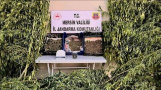 Mersinde uyuşturucu operasyonu