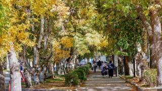 Meteorolojiden kuvvetli rüzgar ve kar uyarısı