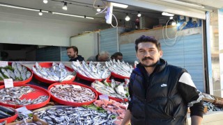 Mevsiminin en lezzetli balıkları hamsi ve sardalye