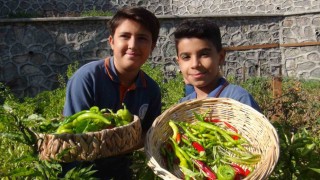 Minik eller, turşuyla büyük işlere imza atıyor