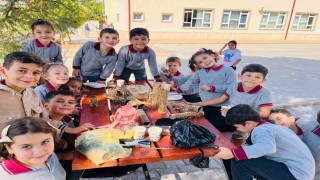 Minik ellerden sokak hayvanlarına sevgi dolu yiyecekler