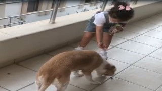 Minik Gökçeden örnek davranış