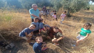 Minik öğrenciler fidan dikmeyi öğrendi