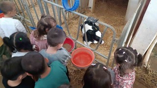 Minik öğrenciler tarımla buluştu