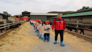 Minikler tarımı yerinde öğrendi