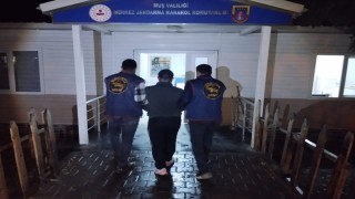 Muş'ta 17 yıl kesinleşmiş hapis cezası bulunan hükümlü yakalandı