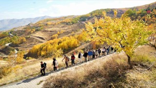 Muşta doğaseverler sonbaharın renkleri arasında yürüyüş yaptı