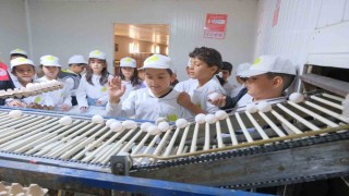 Muşta kooperatifçilik temalı tarım kampı düzenlendi