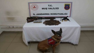 Muşta tezek yığınının altından silah ve mühimmat çıktı