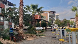 Nazilli Belediyesinden 12 mahallede eş zamanlı çalışma