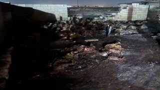 Niğdede ahır yangını: 170 koyun telef oldu