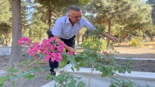Oğlunu kaybettikten sonra ömrünü adadığı mezarlığı adeta parka dönüştürdü