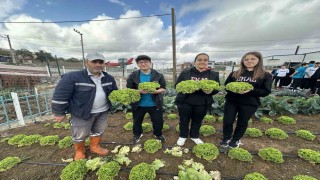 Öğrenciler, Bahçem Çayırovada ilk hasadı yaptı