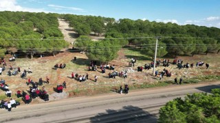 Onikişubat Belediyesinden 300 öğrenciyle orman temizliği