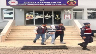 Orduda evden fındık çalan şüpheli tutuklandı