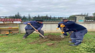 Orman yangınları sonrası yola çıktı, 71. fidanını Boluda dikti
