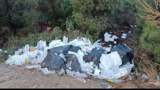 Ormanı çöplük yaptılar