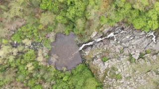 Ormanın içerisindeki şelale görenleri mest ediyor