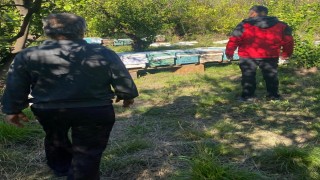 Ortacada arılı kovan desteklemeleri devam ediyor