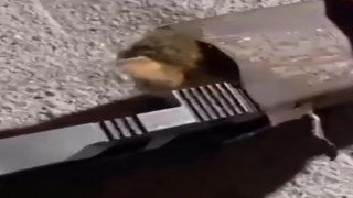 Osmaniye’de Demir Profillere Sıkışan Minik Kedi Kurtarıldı