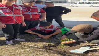 Osmaniye’de Öğrenciler Fidanları Toprakla Buluşturdu