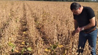 Osmaniye’de Sertifikalı Soya Fasulyesi Hasadı Yapıldı