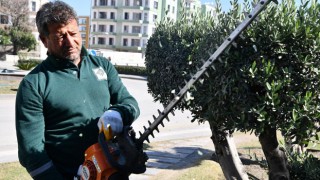 Osmaniye’de Yeşil Alanlarda Bakım ve Düzenleme Çalışmaları Sürüyor