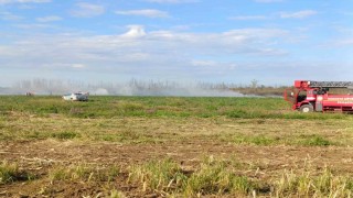 Otluk alanda çıkan yangın söndürüldü