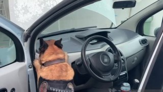 Otomobilde zulalanmış 46 kilo 840 gram uyuşturucu ele geçirildi