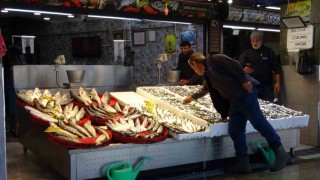 Palamut sezonu başlamadan bitti, umutlar seneye kaldı