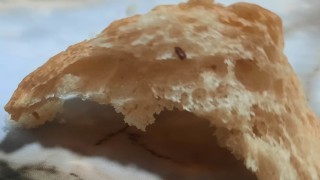 Pamukkale Halk Ekmekin içerisinden çıkan fare dışkısı ve un kurdu yeni doğum yapan anneyi sütten kesti