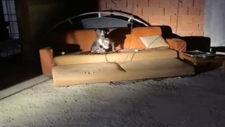 Panik yaşayan mahalle sakinleri konuştu