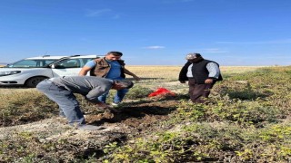 Patates hasadı öncesi inceleme yapıldı