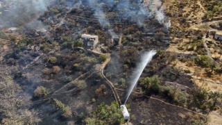 Patlıcan közlerken ormanı yakan şahıs yakalandı: 1 gözaltı