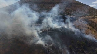 Patlıcan közlerken ormanı yaktılar