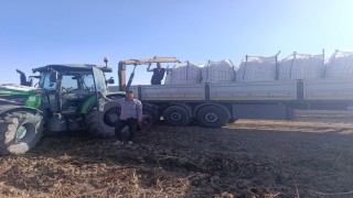 Patnosta patates hasadı başladı