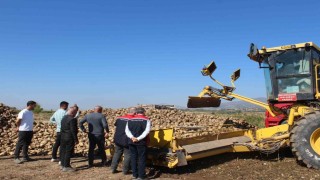 Pazar bölgesinde 450 bin tonluk pancar hasadı hedefleniyor