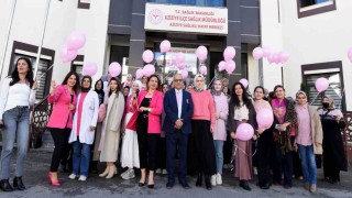 Pembe balonlar meme kanserine farkındalık için uçuruldu