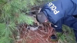 Polis kaçak avcılık tuzağı ele geçirdi