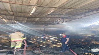 Reyhanlıda samanlık yangını