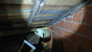 Safranboluda evin çatısında yaban arısı paniği